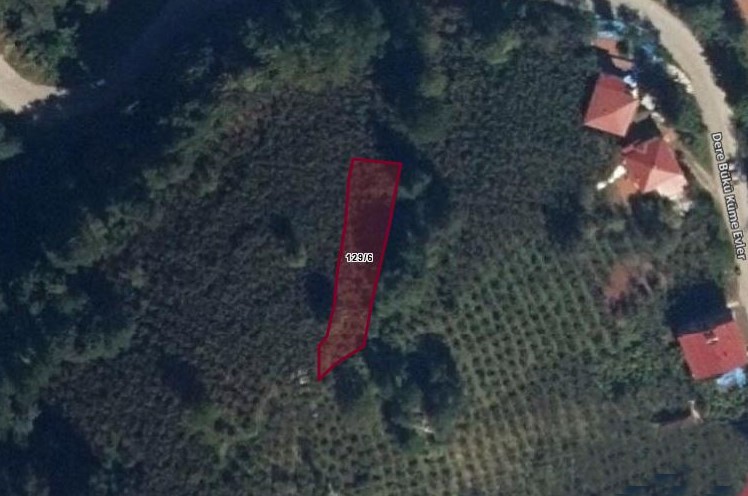 GÖLKÖY FINDIK BAHÇESİ 445 M2